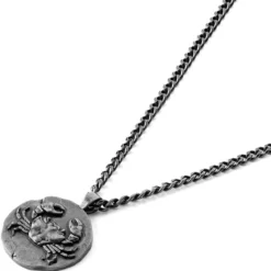 Astro | Srebrzysty naszyjnik ze znakiem zodiaku Rak